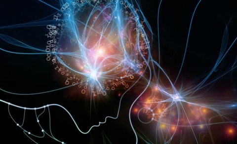 Alim: Şüur ​​zaman və məkandan əvvəl yaranıb