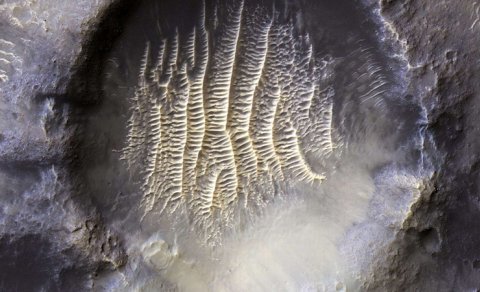 Alimlərin Yerdəki kəşfi Marsda həyatın mövcud ola biləcəyi iddiasını gücləndirir