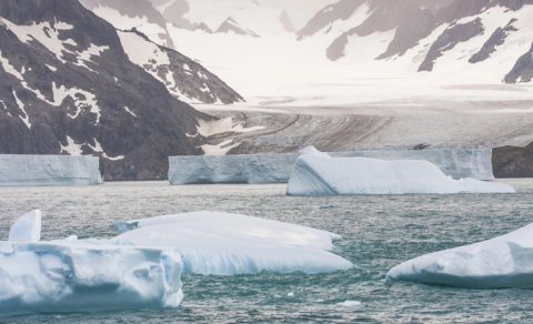 Cənub Okeanı qlobal istiləşmə ilə mübarizə fonunda ən azı bir əsrdir Yeri "isidir"