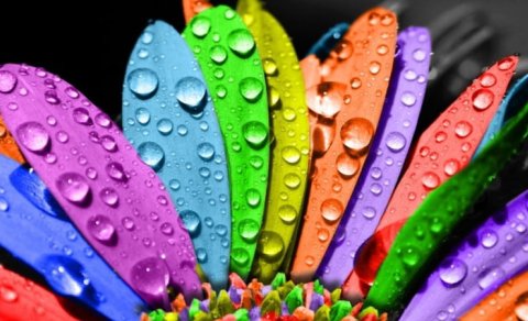 Rənglərin nə məna verdiyini bilirdiz?