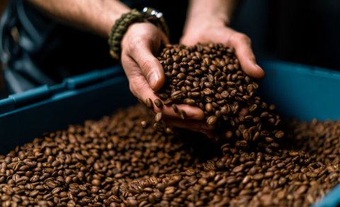 Qəhvənin qaraciyər və böyrəklər üçün gözlənilməz faydaları aşkarlandı