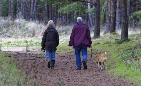 İnsanın yerişi onun sağlamlığından xəbər verə bilər