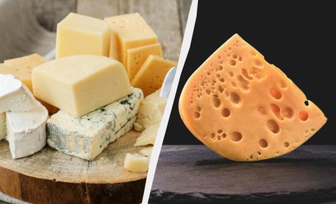 Niyə pendir soyuducuda belə tez xarab olur? - Ən geniş yayılmış səhvlər