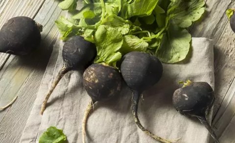 Hər kəsin bilmədiyi qara turpun faydaları