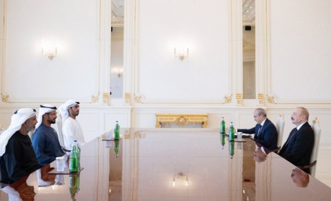 Prezident BƏƏ-nin bir sıra şirkətlərinin rəhbərlərini qəbul etdi - YENİLƏNİB