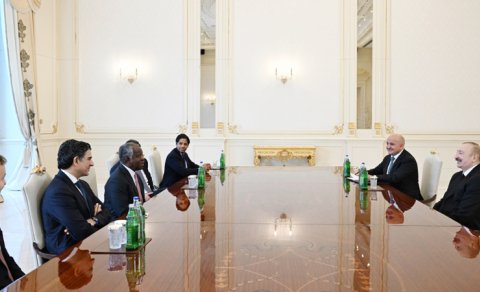 Prezident "Global Infrastructure Partners" şirkətinin baş icraçı direktorunu qəbul etdi