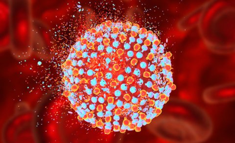 Çexiyada hepatit A epidemiyasından 30-dan çox insan öldü