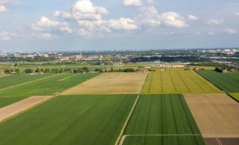 Bələdiyyənin balansında olan torpaq neçəyə satılacaq?