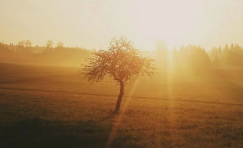 Alimlər: Bəşəriyyət tarixdə ən isti illər koridoruna daxil olub