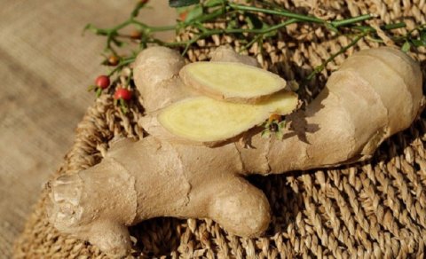 Zəncəfilin faydaları