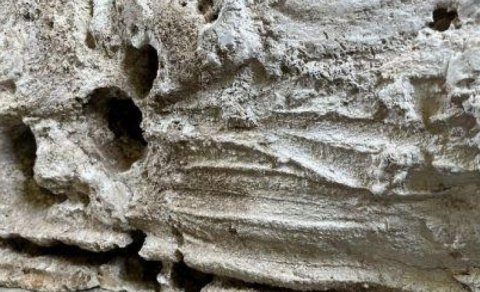 Romalılar nə üçün ölülər üçün xüsusi maye gips pastası hazırlayırdılar?