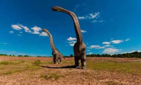 Dinozavrların valideynləri necə idi? - Alimlər heyrətamiz faktlar açıqladı