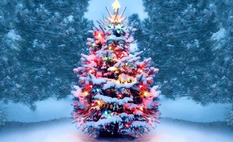 Yeni il yolkasına hansı oyuncaqlar taxılmamalıdır?