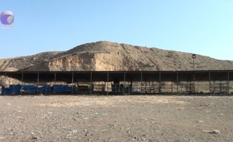 Tovuzda heyvan bazarı nə vaxt açılacaq? -VİDEO