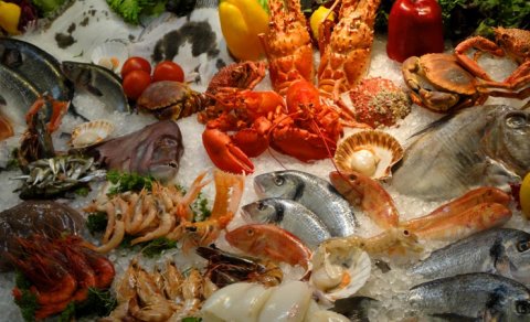 Avropadan Asiyaya: 2026-cı ilin ən yaxşı qastronomik istiqaməti açıqlandı