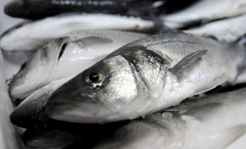 Niyə hələ də rus balığı Avropa bazarına çatır? - "Euractiv"