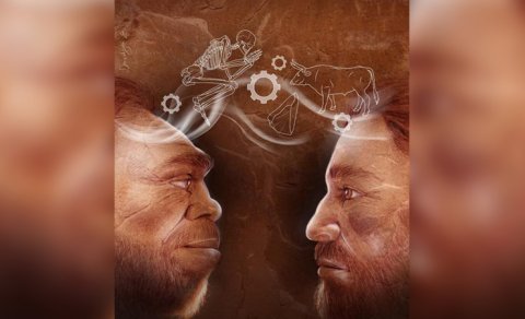 Alimlər Neandertallar və müasir insanların Avropada görüşünü modelləşdirdi