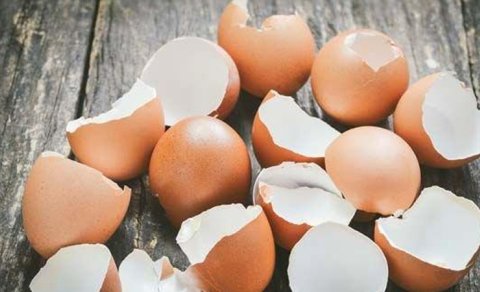 Yumurtanı qırandan sonra qabığını atmayın