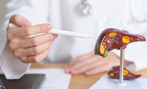 Alimlər hepatit infeksiyasının qarşısını almağın yolunu tapdı