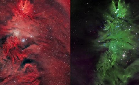 Kosmik Milad ağacı: Astronomlar qeyri-adi ulduz dəstəsini qeydə alıblar