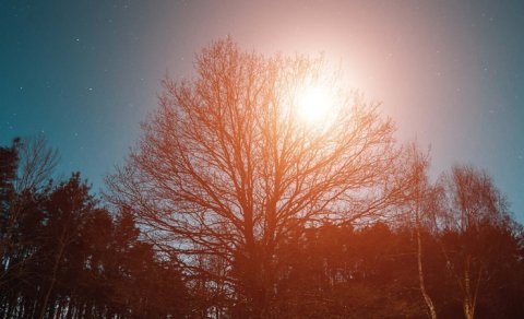 Kişilərdə depressiya riskini azaltmağın sadə yolu tapıldı