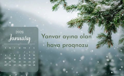 
Yanvar ayının hava proqnozu açıqlandı