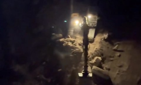 "Avant Group" ağacları kəsib - İşi Baş Prokurorluq araşdıracaq