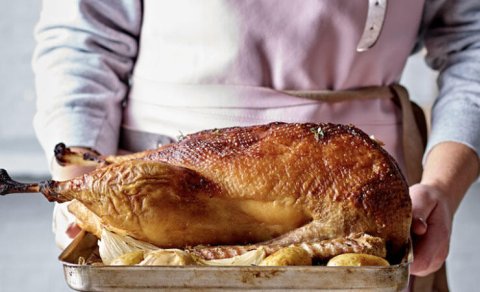 Qaz ətini yeməyənlər faydasından xəbərsizdir