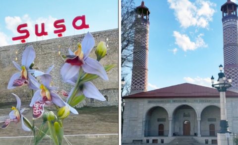 Türkiyənin tanınmış media influenserləri ölkəmizə səfər etdi - FOTO