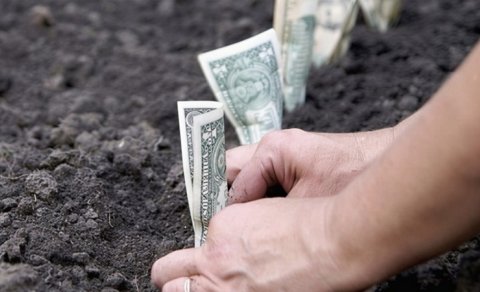 Bakıda torpaq alanların diqqətinə! - "Dodaq uçuqladan" QİYMƏTLƏR