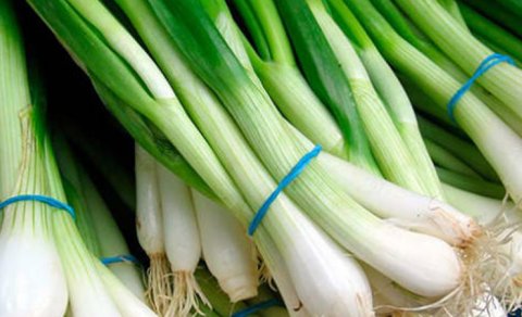 Göy soğanın sağlamlığımıza TƏSİRLƏRİ