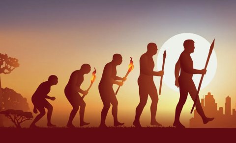 İnsanlar təkamül zamanı niyə tüklərini itirdi?