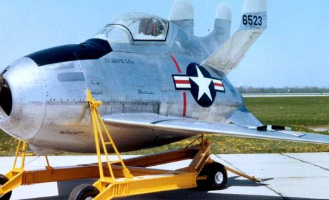 Cırtdan parazit döyüşçü: ABŞ onu niyə yaratdı?