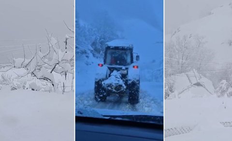 Lerikdə qara görə 80 kənd işıqsız qalıb
