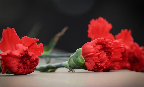 Qərənfil sevgi, yoxsa kədər gülüdür?