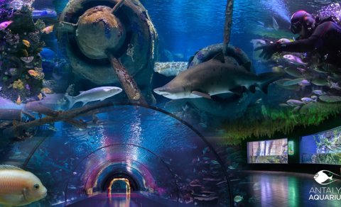 Antalyanın tematik parkları bu qış və yazda da qonaqlarını gözləyir - FOTO