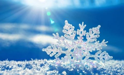 Qar virusu və xəstəliyi öldürür?