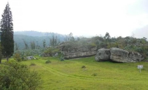 5500 illik skelet Amerikada zöhrəvi xəstəliyin mənşəyini təsdiqlədi