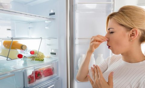 Soyuducudakı pis qoxu öz-özünə yox olacaq: İçinə nə qoymaq lazımdır?