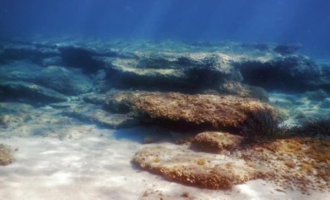 Alimlər 10 il okeanın dibini izlədi: Gördükləri onları son dərəcə narahat etdi