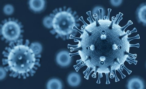 Nipah virusu epidemiya və ya pandemiyaya səbəb olacaq?