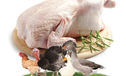 Bazarda bolluq, süfrədə darlıq