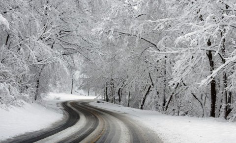 Sabahın hava proqnozu
