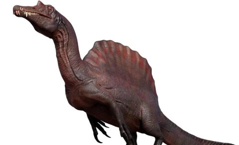 Nəhəng "yelkən" və uzun kəllə: Bioloq tarixdəki ən qəribə dinozavrdan danışdı
