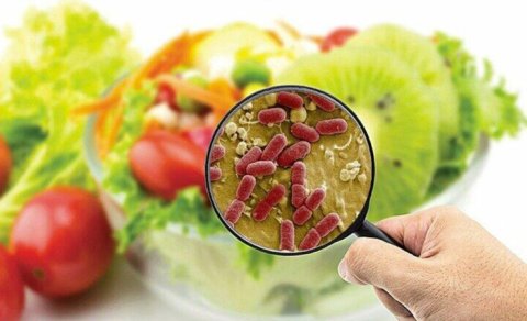 Qida zəhərlənmələrinin əsas səbəb nədir?