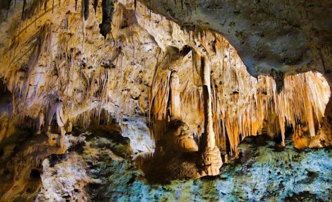 Zülmət qaranlıqda 49 milyon illik möcüzə