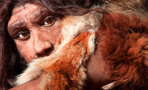 Alimlər neandertalların nəslinin kəsilməsinin yeni səbəbini tapdı