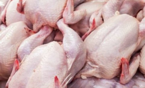 Toyuq ətinin qiyməti ilə bağlı VACİB AÇIQLAMA
