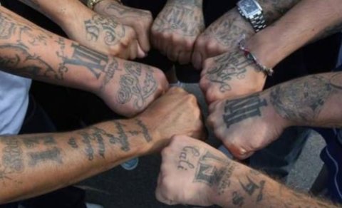 Alfa nəslinin uşaqları niyə kriminal aləmə meyl edirlər?