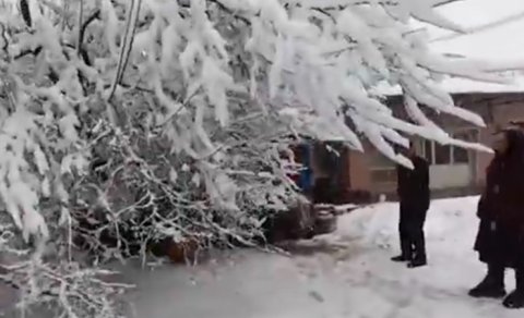 Cəlilabadda güclü qar ağacı aşırıb, bir nəfər xilas edilib - VİDEO
